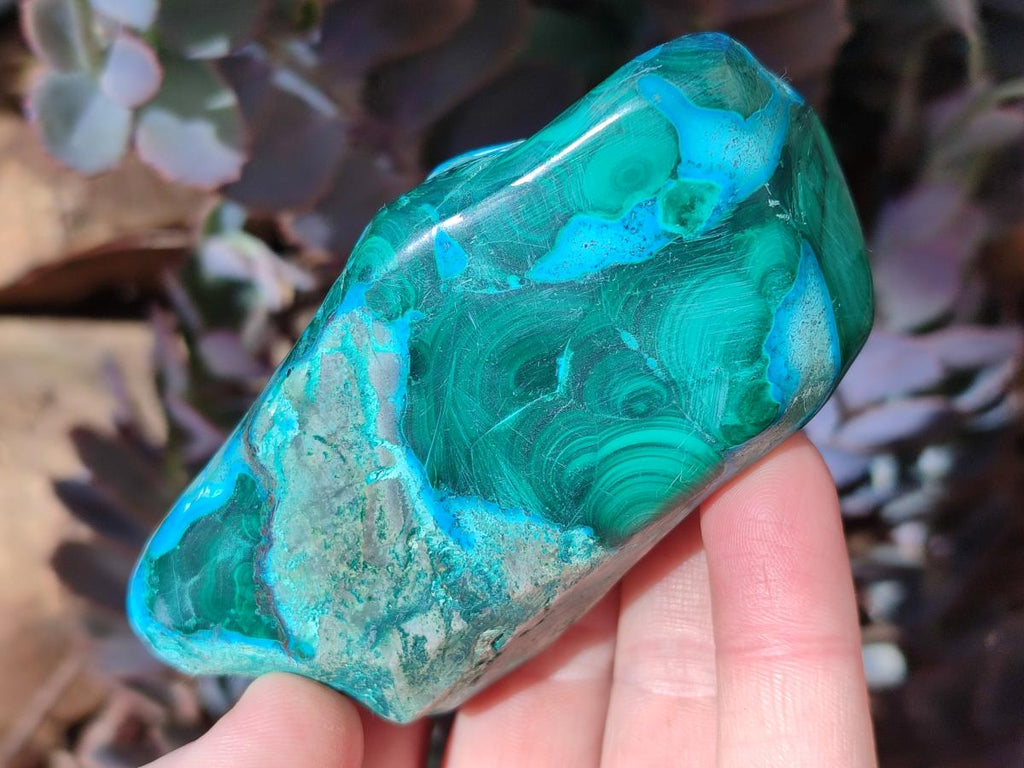 Polished Malacolla Free Forms x 6 From Kulukuluku, Congo - Toprock Gemstones and Minerals 