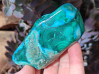 Polished Malacolla Free Forms x 6 From Kulukuluku, Congo - Toprock Gemstones and Minerals 