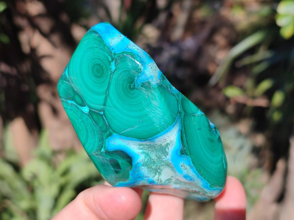 Polished Malacolla Free Forms x 6 From Kulukuluku, Congo - Toprock Gemstones and Minerals 