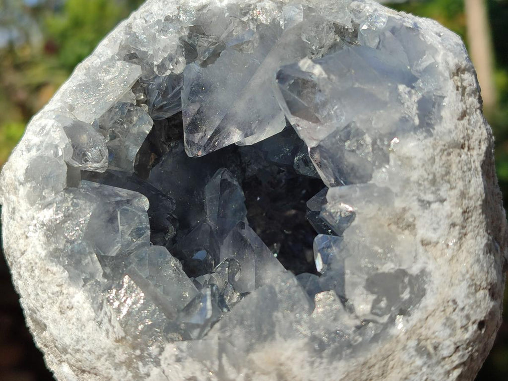 Natural Large Blue Celestite Geode Specimen x 1 From Sakoany, Madagascar - Toprock Gemstones and Minerals 