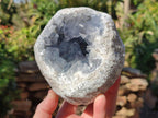 Natural Large Blue Celestite Geode Specimen x 1 From Sakoany, Madagascar - Toprock Gemstones and Minerals 