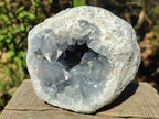 Natural Large Blue Celestite Geode Specimen x 1 From Sakoany, Madagascar - Toprock Gemstones and Minerals 