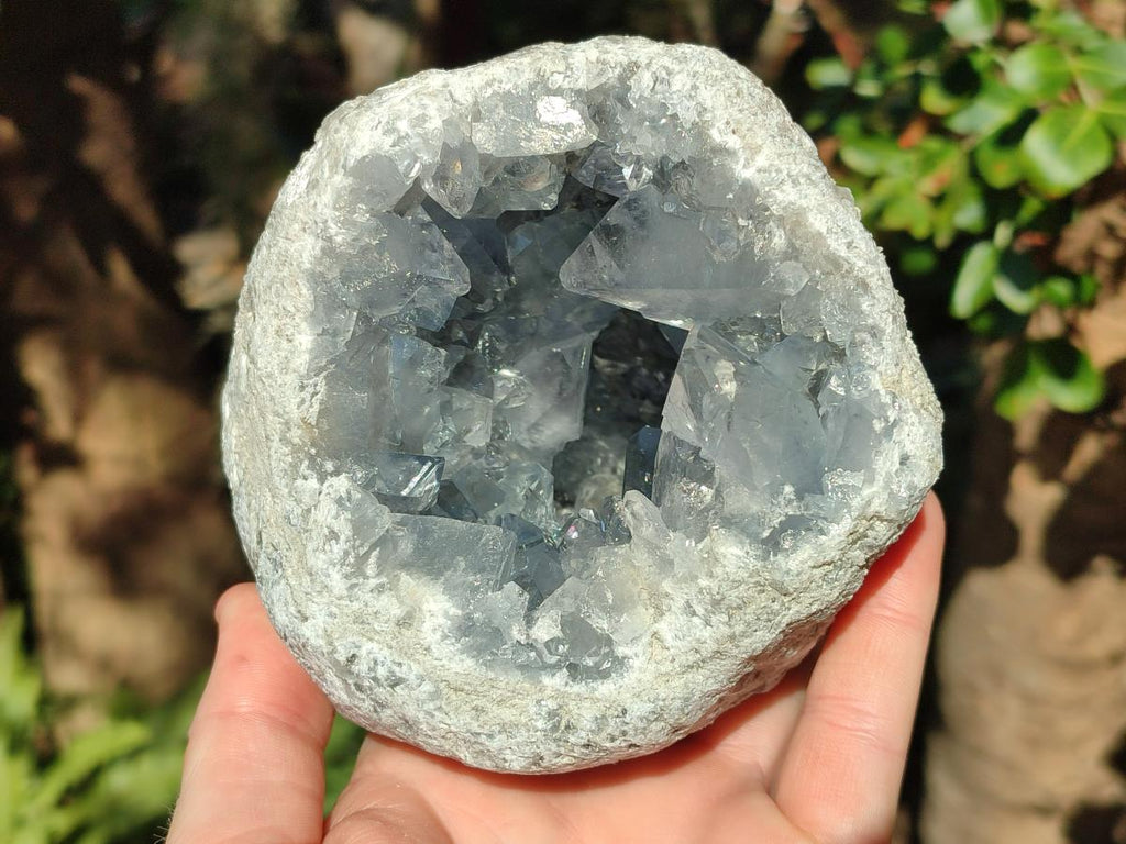 Natural Large Blue Celestite Geode Specimen x 1 From Sakoany, Madagascar - Toprock Gemstones and Minerals 