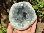 Natural Large Blue Celestite Geode Specimen x 1 From Sakoany, Madagascar - Toprock Gemstones and Minerals 