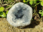 Natural Large Blue Celestite Geode Specimen x 1 From Sakoany, Madagascar - Toprock Gemstones and Minerals 