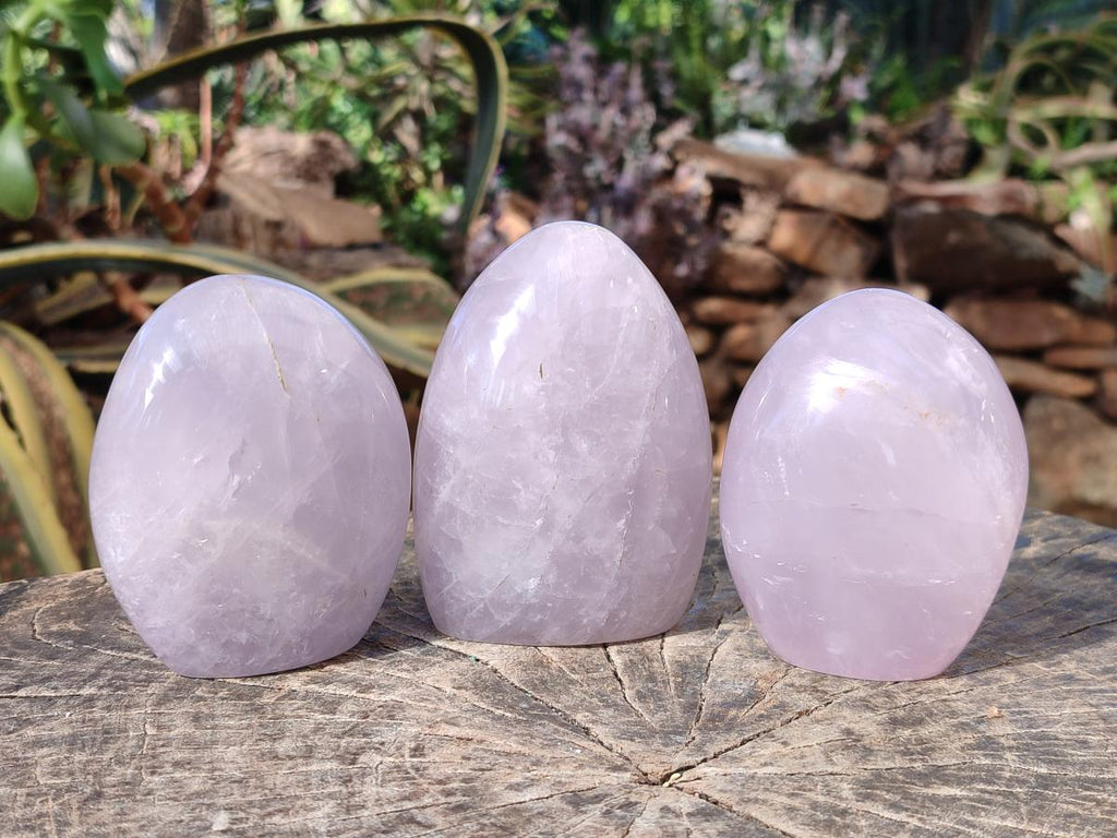 Polished Gemmy Blue Rose Quartz Standing Display Pieces x 3 From Madagascar - Toprock Gemstones and Minerals 