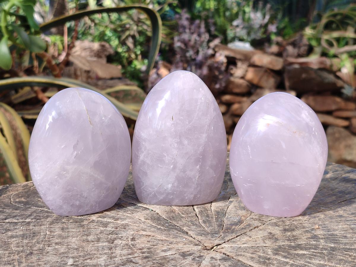 Polished Gemmy Blue Rose Quartz Standing Display Pieces x 3 From Madagascar - Toprock Gemstones and Minerals 