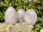 Polished Gemmy Blue Rose Quartz Standing Display Pieces x 3 From Madagascar - Toprock Gemstones and Minerals 