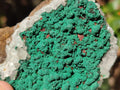 Natural Ball Malachite Specimens Coated with Drusy Quartz on Dolomite x 6 From Mindingi Mine, Congo - Toprock Gemstones and Minerals 