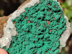 Natural Ball Malachite Specimens Coated with Drusy Quartz on Dolomite x 6 From Mindingi Mine, Congo - Toprock Gemstones and Minerals 