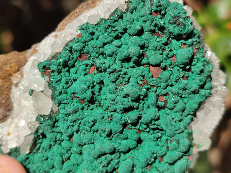 Natural Ball Malachite Specimens Coated with Drusy Quartz on Dolomite x 6 From Mindingi Mine, Congo - Toprock Gemstones and Minerals 