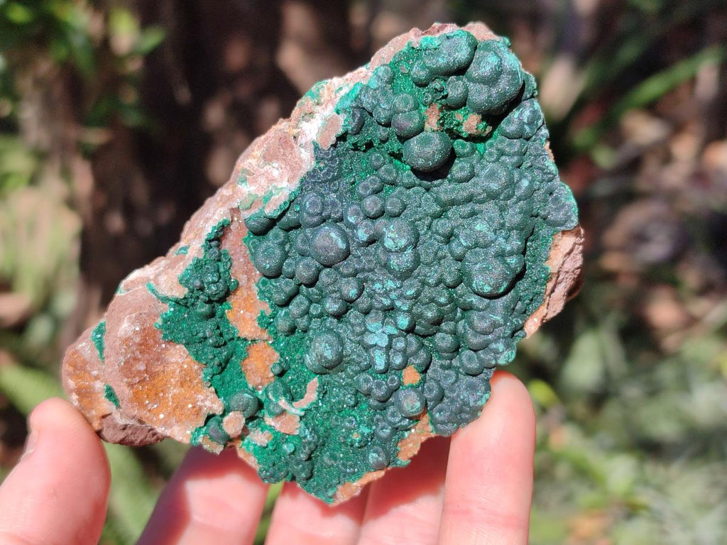 Natural Ball Malachite Specimens Coated with Drusy Quartz on Dolomite x 6 From Mindingi Mine, Congo - Toprock Gemstones and Minerals 