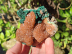 Natural Ball Malachite Specimens Coated with Drusy Quartz on Dolomite x 6 From Mindingi Mine, Congo - Toprock Gemstones and Minerals 
