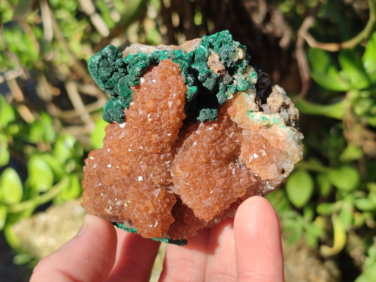 Natural Ball Malachite Specimens Coated with Drusy Quartz on Dolomite x 6 From Mindingi Mine, Congo - Toprock Gemstones and Minerals 