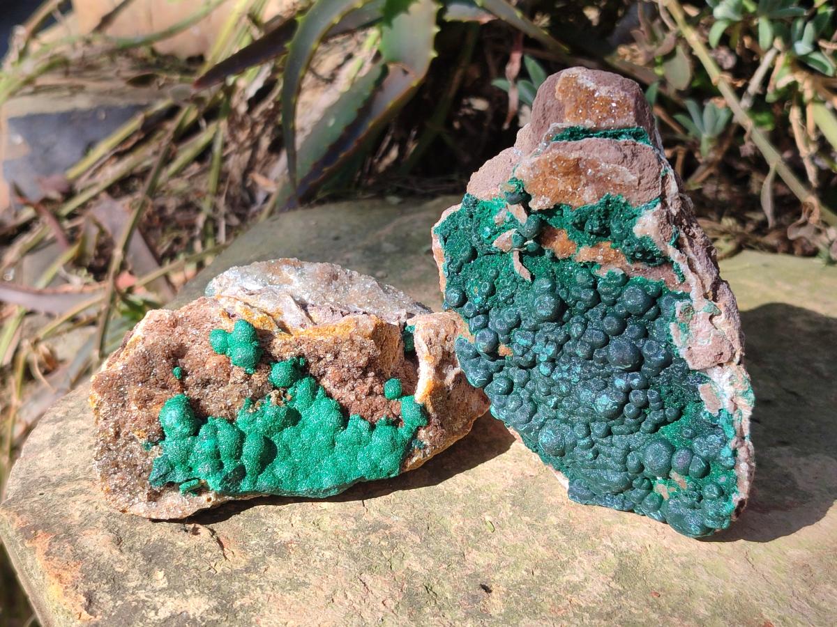 Natural Ball Malachite Specimens Coated with Drusy Quartz on Dolomite x 6 From Mindingi Mine, Congo - Toprock Gemstones and Minerals 