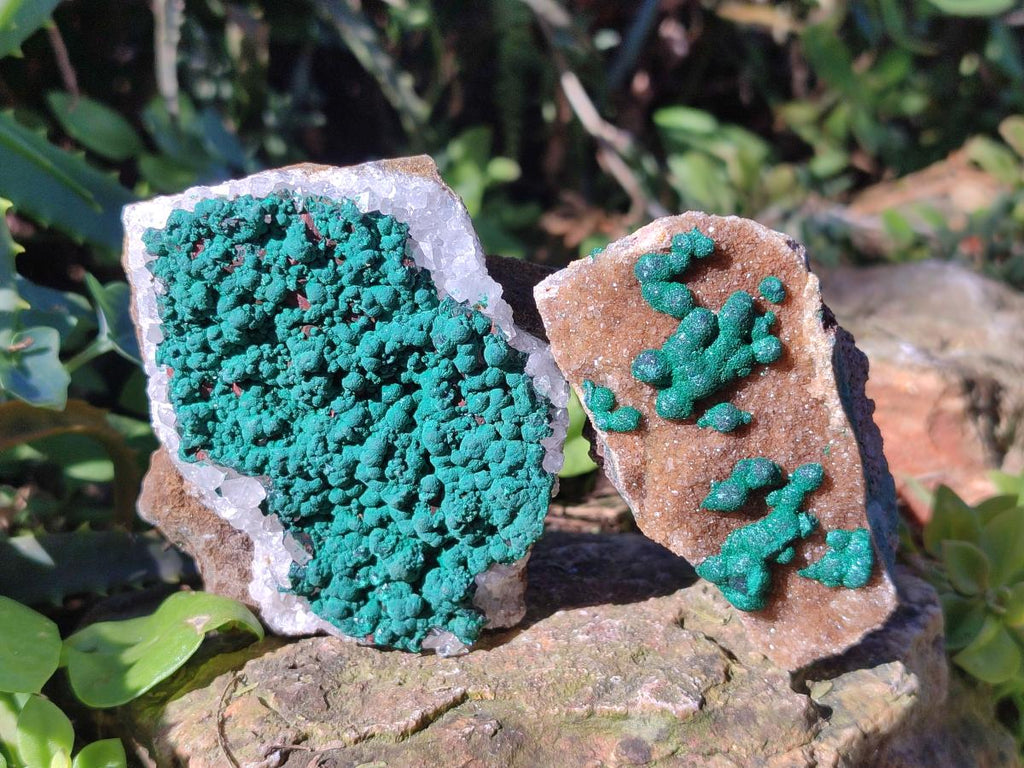 Natural Ball Malachite Specimens Coated with Drusy Quartz on Dolomite x 6 From Mindingi Mine, Congo - Toprock Gemstones and Minerals 