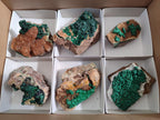 Natural Ball Malachite Specimens Coated with Drusy Quartz on Dolomite x 6 From Mindingi Mine, Congo - Toprock Gemstones and Minerals 