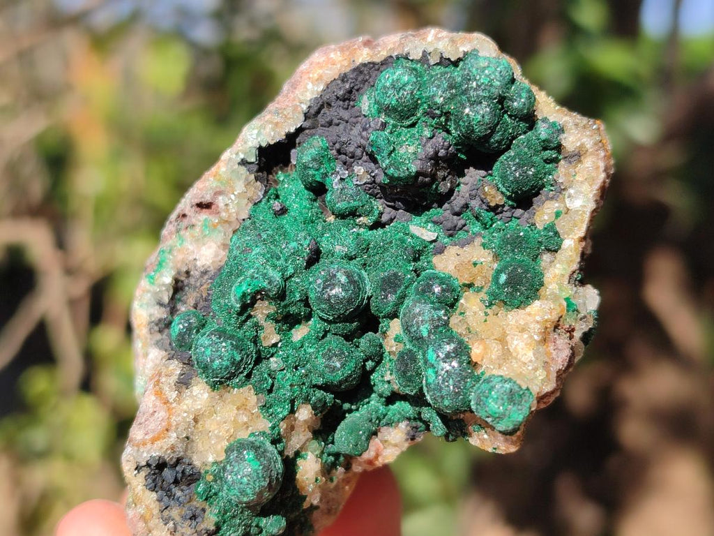 Natural Ball Malachite Specimens Coated with Drusy Quartz on Dolomite x 6 From Mindingi Mine, Congo - Toprock Gemstones and Minerals 