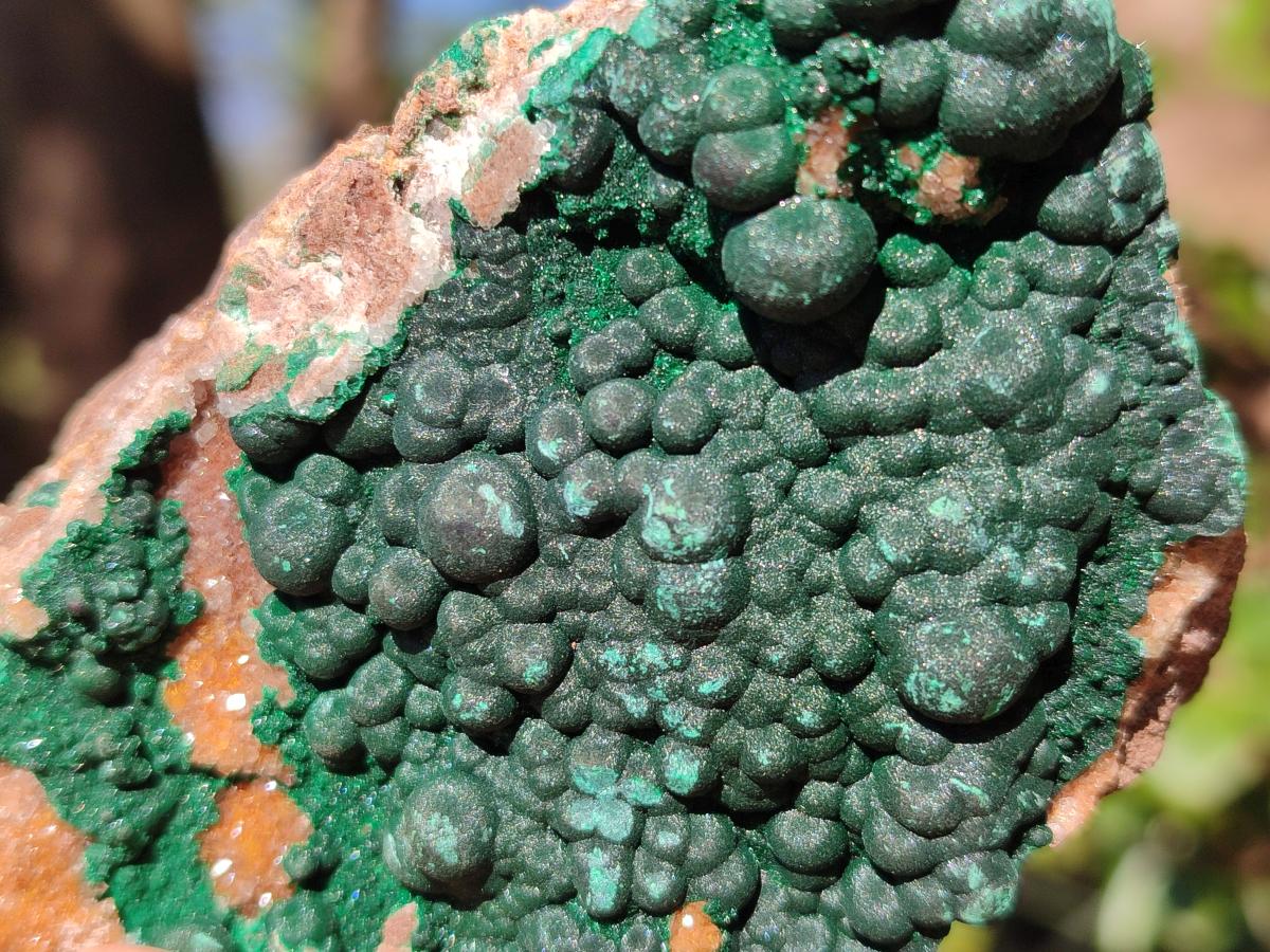 Natural Ball Malachite Specimens Coated with Drusy Quartz on Dolomite x 6 From Mindingi Mine, Congo - Toprock Gemstones and Minerals 