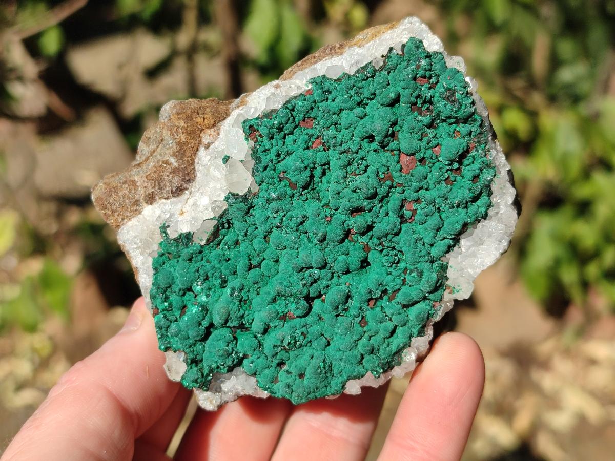 Natural Ball Malachite Specimens Coated with Drusy Quartz on Dolomite x 6 From Mindingi Mine, Congo - Toprock Gemstones and Minerals 