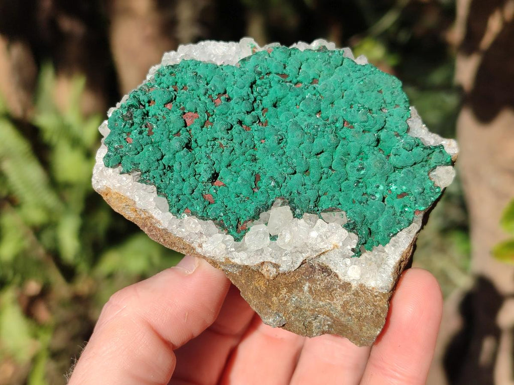 Natural Ball Malachite Specimens Coated with Drusy Quartz on Dolomite x 6 From Mindingi Mine, Congo - Toprock Gemstones and Minerals 