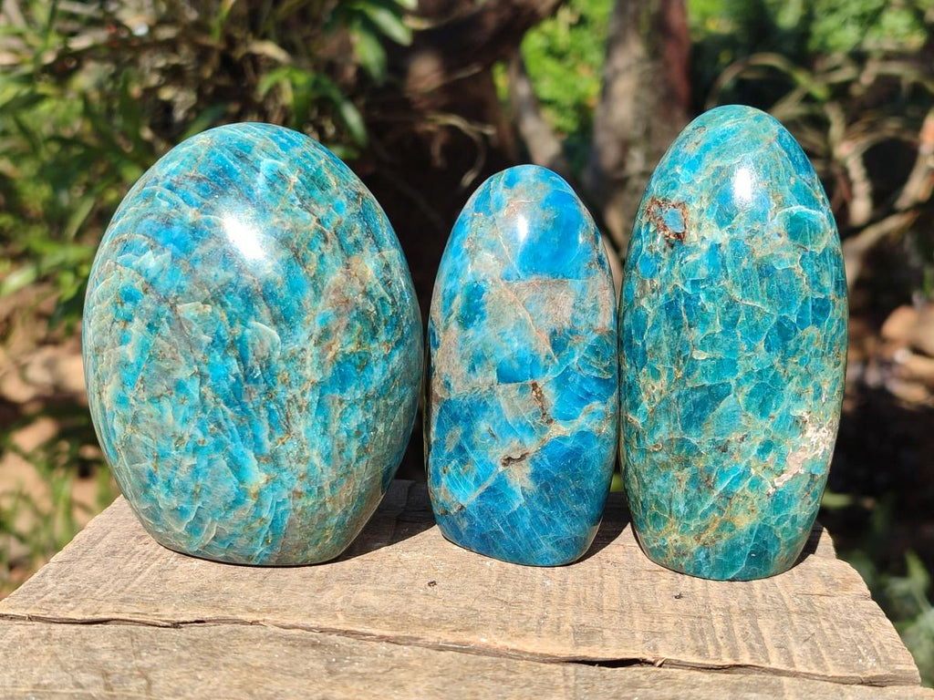 Polished Blue Apatite Standing Display Pieces x 6 From Betroka, Madagascar - Toprock Gemstones and Minerals 