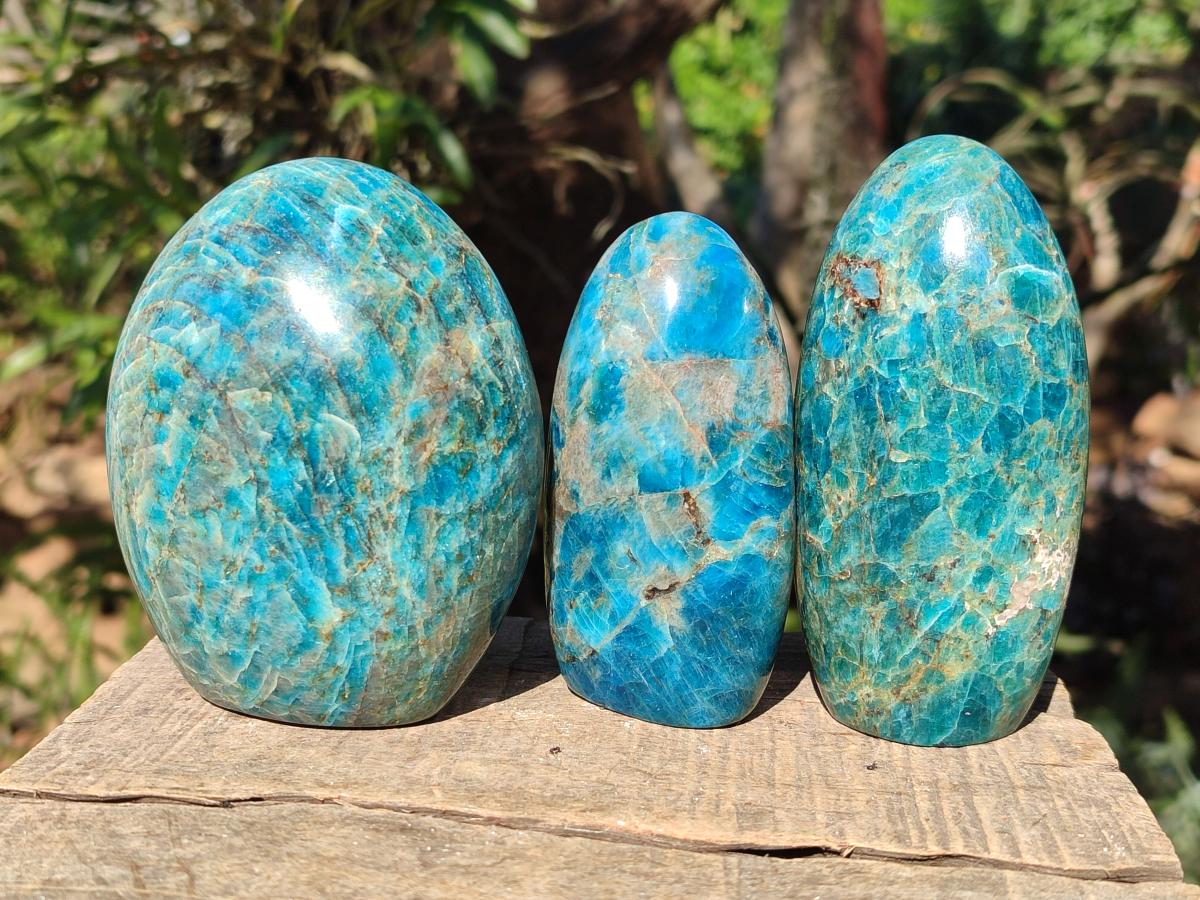 Polished Blue Apatite Standing Display Pieces x 6 From Betroka, Madagascar - Toprock Gemstones and Minerals 