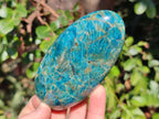 Polished Blue Apatite Standing Display Pieces x 6 From Betroka, Madagascar - Toprock Gemstones and Minerals 