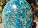 Polished Blue Apatite Standing Display Pieces x 6 From Betroka, Madagascar - Toprock Gemstones and Minerals 
