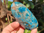 Polished Blue Apatite Standing Display Pieces x 6 From Betroka, Madagascar - Toprock Gemstones and Minerals 
