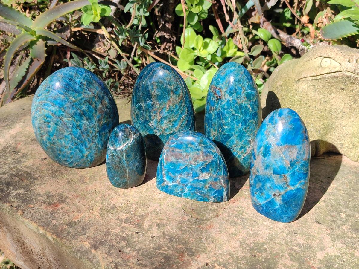 Polished Blue Apatite Standing Display Pieces x 6 From Betroka, Madagascar - Toprock Gemstones and Minerals 