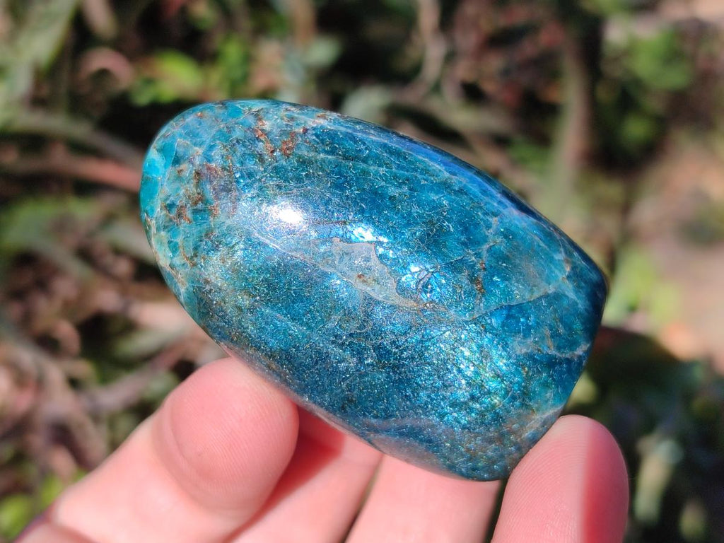 Polished Blue Apatite Standing Display Pieces x 6 From Betroka, Madagascar - Toprock Gemstones and Minerals 
