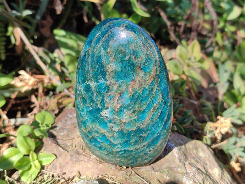 Polished Blue Apatite Standing Display Pieces x 6 From Betroka, Madagascar - Toprock Gemstones and Minerals 