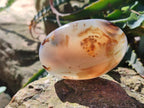 Polished Banded Agate Galets x 24 From Madagascar - Toprock Gemstones and Minerals 
