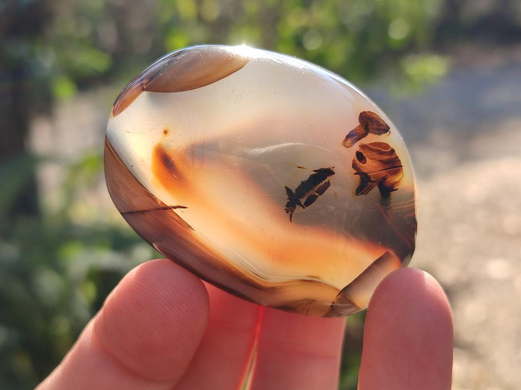 Polished Banded Agate Galets x 24 From Madagascar - Toprock Gemstones and Minerals 