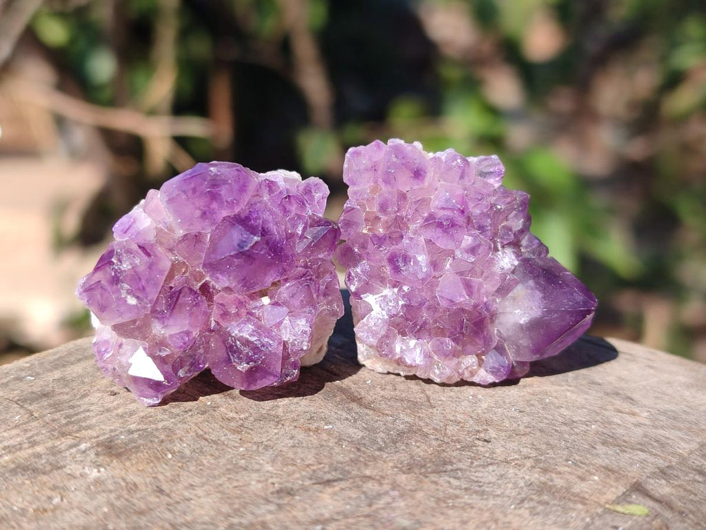 Natural Mini Amethyst Clusters x 70 From Madagascar - Toprock Gemstones and Minerals 