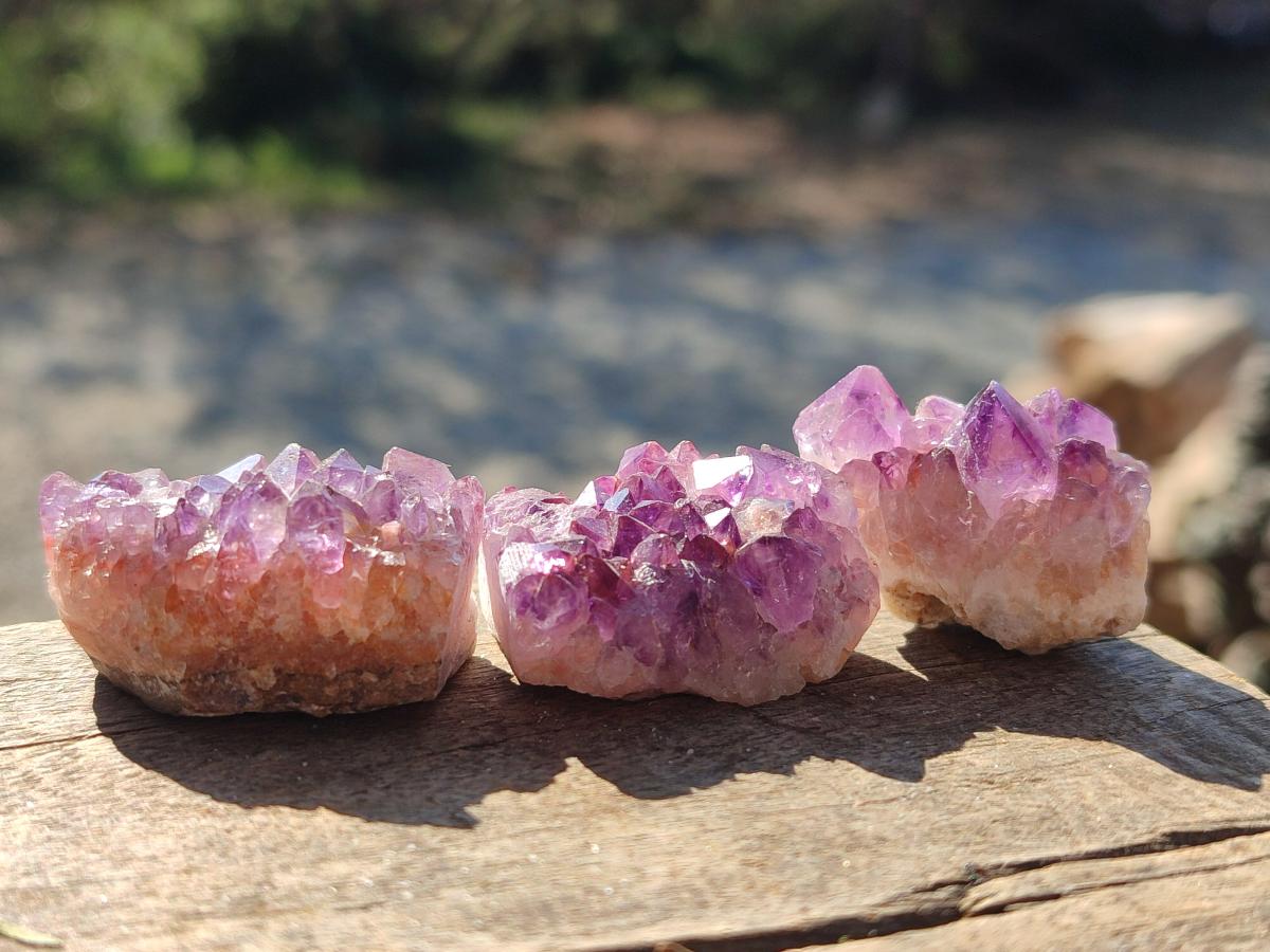 Natural Mini Amethyst Clusters x 70 From Madagascar - Toprock Gemstones and Minerals 