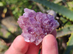 Natural Mini Amethyst Clusters x 70 From Madagascar - Toprock Gemstones and Minerals 