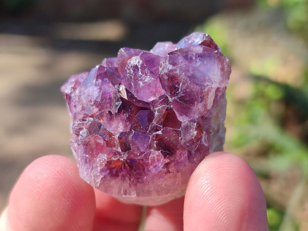 Natural Mini Amethyst Clusters x 70 From Madagascar - Toprock Gemstones and Minerals 