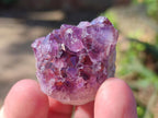 Natural Mini Amethyst Clusters x 70 From Madagascar - Toprock Gemstones and Minerals 