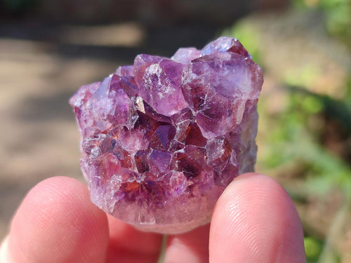 Natural Mini Amethyst Clusters x 70 From Madagascar - Toprock Gemstones and Minerals 
