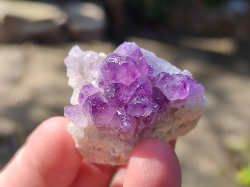 Natural Mini Amethyst Clusters x 70 From Madagascar - Toprock Gemstones and Minerals 