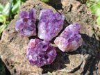 Natural Mini Amethyst Clusters x 70 From Madagascar - Toprock Gemstones and Minerals 