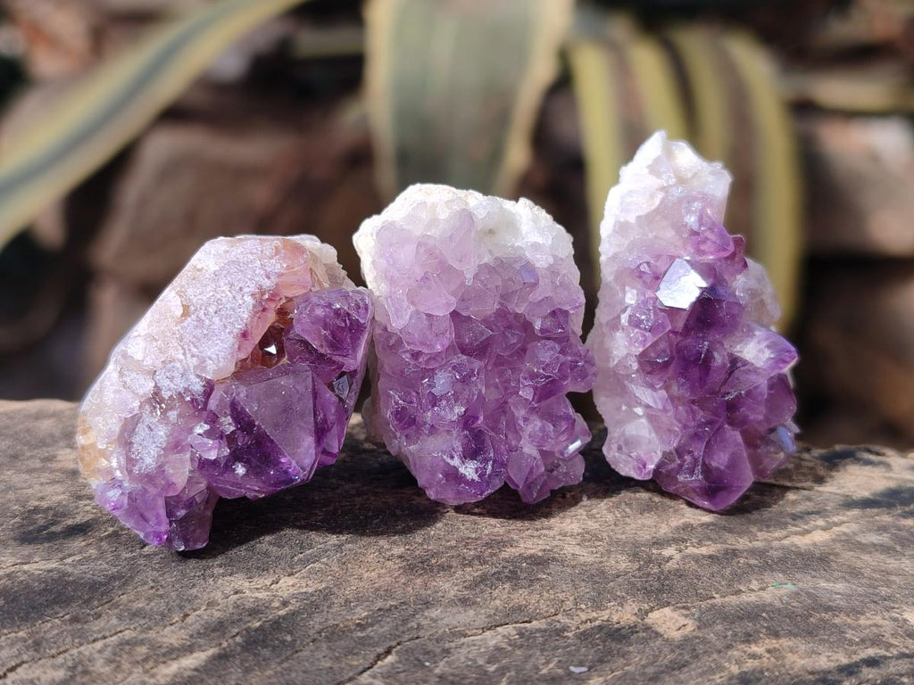Natural Mini Amethyst Clusters x 70 From Madagascar - Toprock Gemstones and Minerals 