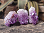 Natural Mini Amethyst Clusters x 70 From Madagascar - Toprock Gemstones and Minerals 