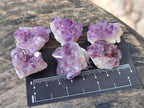 Natural Mini Amethyst Clusters x 70 From Madagascar - Toprock Gemstones and Minerals 