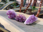 Natural Mini Amethyst Clusters x 70 From Madagascar - Toprock Gemstones and Minerals 