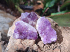 Natural Mini Amethyst Clusters x 70 From Madagascar - Toprock Gemstones and Minerals 