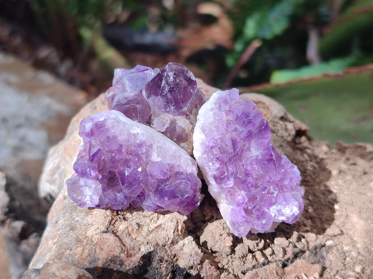 Natural Mini Amethyst Clusters x 70 From Madagascar - Toprock Gemstones and Minerals 