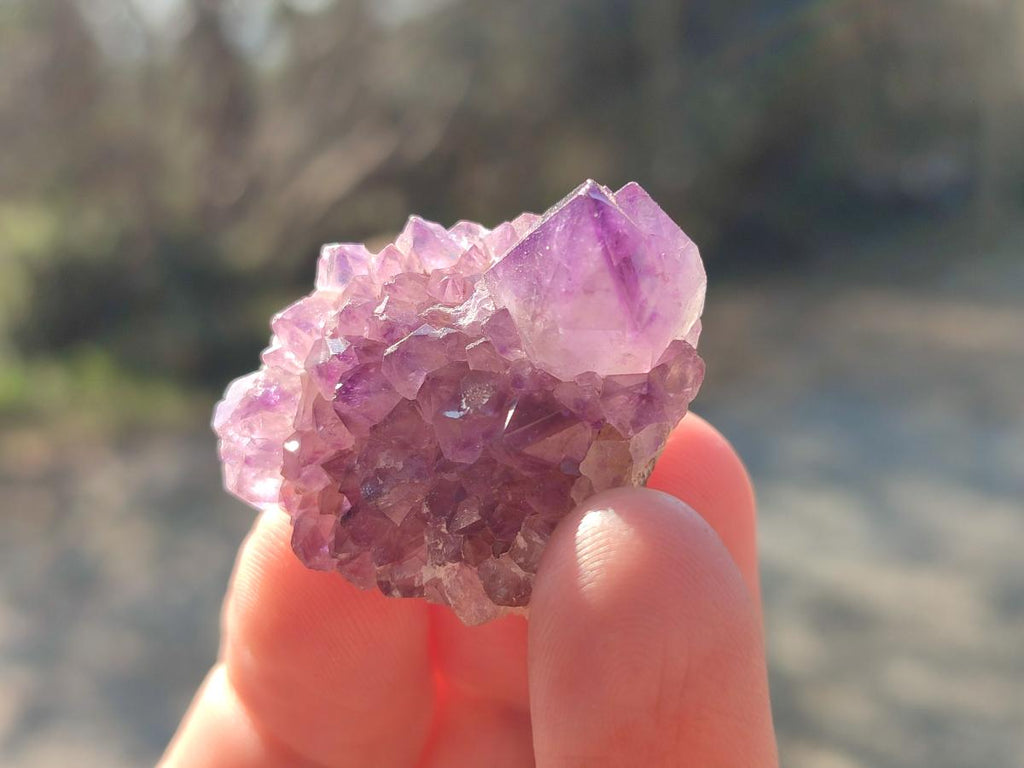 Natural Mini Amethyst Clusters x 70 From Madagascar - Toprock Gemstones and Minerals 